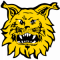 Ilves (Finland)